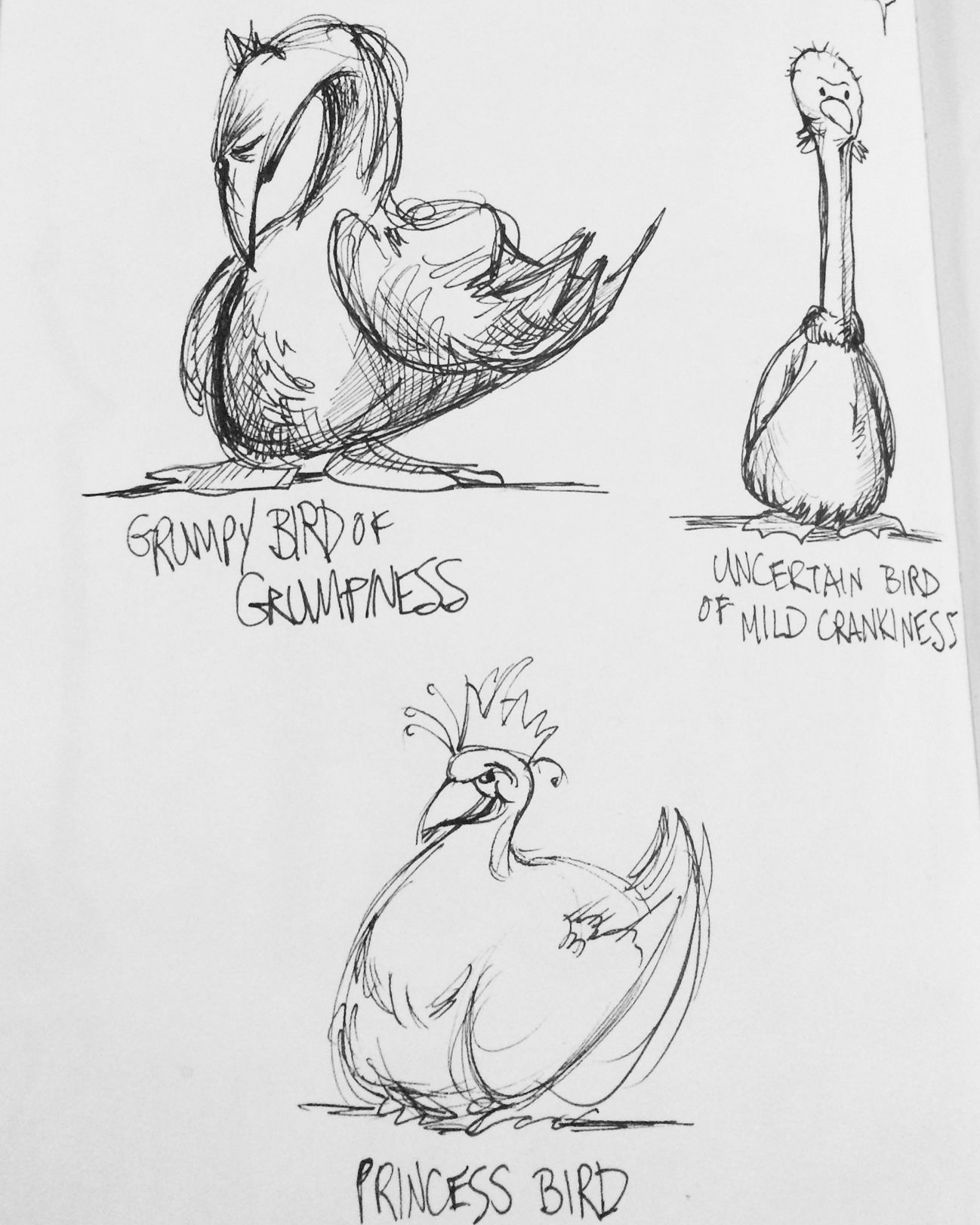 Suspicious birds