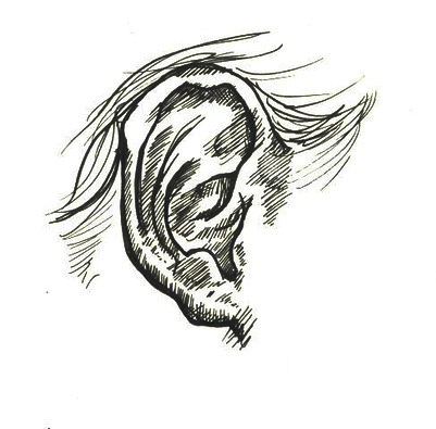 Ear