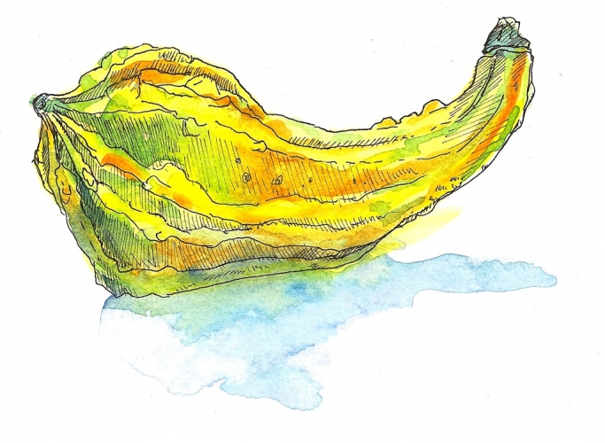 Squash